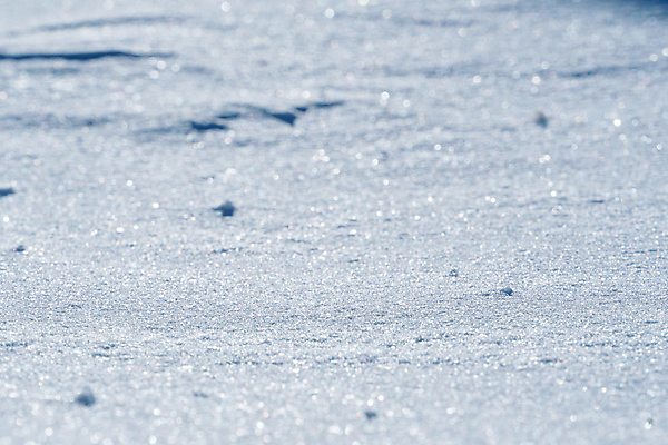 포토 JPG 해외이미지 계절 조각 겨울 사람없음 빛 반짝임 햇빛 냉동 얼음 추위 광선 눈송이 매끈함 소프트포커스 시원함 크리스탈 북극 광택 고드름 지구온난화 눈보라 눈덩이 기후변화 반투명 제설기 폭설 눈내림 해외포토 자연요소 모션 날씨 눈_날씨 촬영기법 태양 감각 변화 광석 자연재해 극지방 제설 파일형식 이미지허브