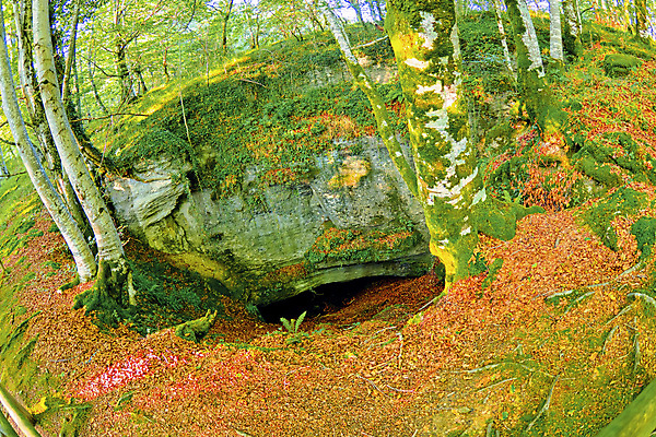 포토 JPG 해외이미지 나무 공원 유럽 야생동물 여행 자연 휴식 산 건강 사람없음 야외 목재 뷰티 환경 다양 스페인 보호 숲 환경보전 생태계 생물학 서식지 내추럴 보호구역 삼림지대 생태학 해외포토 식물 동물 공공시설 교육 나라 다수 컨셉 재료 사회이슈 구역 파일형식 이미지허브