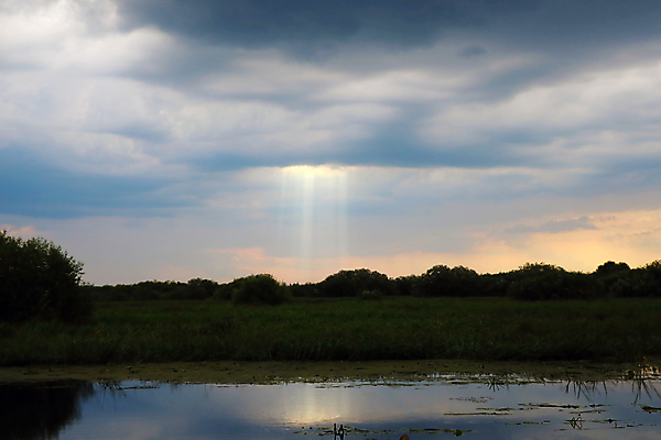 포토 JPG 해외이미지 나무 식물 디자인 공원 꽃 유럽 호수 여행 백그라운드 자연 하늘 주택 파노라마 사람없음 야외 초록색 물 파란색 강 태양 뷰티 반사 환경 봄 시골 연못 작음 장면 쿠바 내추럴 생태학 해외포토 자연요소 계절 공공시설 교육 나라 컬러 촬영기법 건물 중앙아메리카 크기 생태계 파일형식 이미지허브