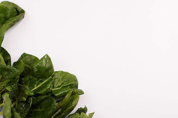 포토 JPG 해외이미지 스튜디오촬영 식물 배너 음식 줄기 백그라운드 컨셉 잎 채소 자연 건강 사람없음 초록색 우주 쪽지 공백 샐러드 흰색 신선 자르기 다발 먹기 흰배경 유기농 레이아웃 날것 뿌리 슛 섬유 시금치 내추럴 고립 생식 채식주의자 레터링 카피스페이스 해외포토 웰빙 컬러 모션 실내 직물 생태계 채식 파일형식 이미지허브