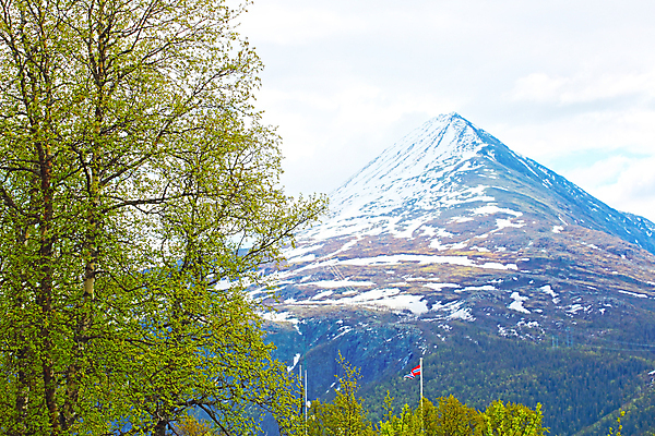 포토 JPG 해외이미지 나무 공원 유럽 여행 자연 하늘 산 파노라마 노르웨이 사람없음 초록색 계곡 봄 하이킹 시골 도시 숲 언덕 전나무 스칸디나비아 전국 절정 해외포토 식물 계절 공공시설 나라 컬러 레저 촬영기법 생태계 파일형식 이미지허브