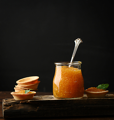 포토 JPG 해외이미지 검은배경 사람없음 생선알 해외포토 백그라운드 알 검은색 파일형식 이미지허브