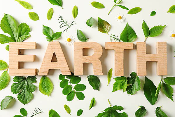 포토 JPG 해외이미지 지구 백그라운드 잎 텍스트 자연 목재 단어 에너지 에코 해외포토 나무 식물 문자 재료 환경 생태계 파일형식 이미지허브