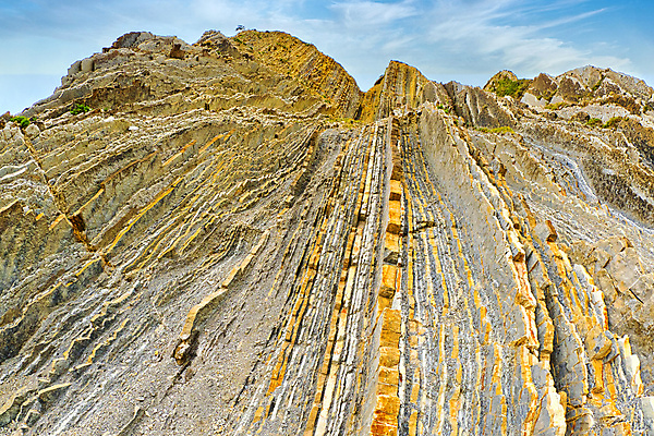 포토 JPG 해외이미지 공원 유럽 야생동물 바다 여행 자연 사람없음 물 뷰티 환경 골짜기 암석 세계여행 스페인 보호 환경보전 생태계 내추럴 보호구역 생태학 지질학 해외포토 자연요소 동물 공공시설 교육 나라 컨셉 세계 돌_바위 사회이슈 구역 파일형식 이미지허브