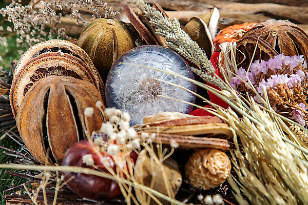 포토 JPG 해외이미지 디자인 꽃잎 유리 건조 사람없음 장식 소프트포커스 드라이플라워 해외포토 꽃 재질 촬영기법 파일형식 이미지허브