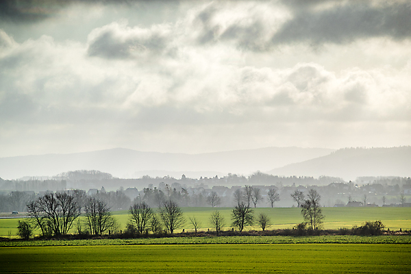 포토 JPG 해외이미지 나무 식물 계절 여행 백그라운드 밭 자연 하늘 아침 파노라마 사람없음 야외 초록색 파란색 햇빛 태양 농장 농경지 일출 맑음 침묵 일몰 봄 안개 광선 시골 신선 언덕 장면 뿌연 토스카나 수평선 해외포토 주간 자연요소 컬러 농업 날씨 촬영기법 노을 소리 이탈리아 생태계 파일형식 이미지허브