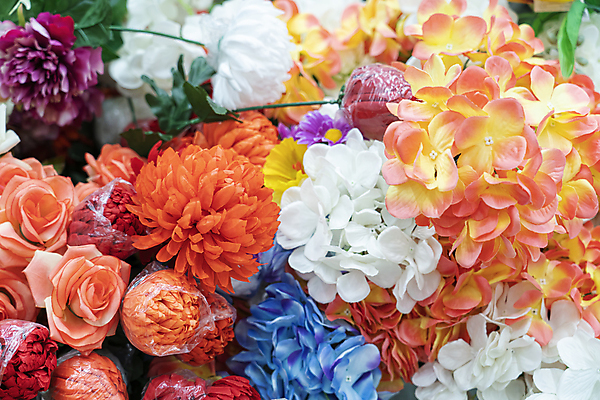 포토 JPG 해외이미지 식물 디자인 꽃잎 꽃 분홍색 꽃다발 결혼 백그라운드 꽃무늬 패턴 자연 벽지 추상 발렌타인데이 선물 사랑 미술 사람없음 장식 빨간색 초록색 여름 컬러풀 뷰티 장미 정원 벚꽃 흰색 축하 신선 생일 개화 다발 배열 질감 내추럴 거짓 인공 해외포토 계절 기념일 감정 컬러 컨셉 무늬 데이이벤트 문화예술 이벤트 생태계 파일형식 이미지허브