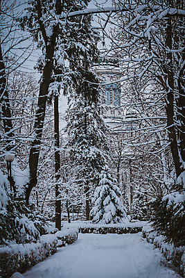 포토 JPG 해외이미지 나무 식물 길 겨울 창문 자국 자연 하늘 스키 주택 사람 풍경 사람없음 야외 건물 목재 얼음 추위 소나무 숲 서리 침엽수 전나무 삼림지대 해외포토 자연요소 건축물 계절 재료 겨울스포츠 생태계 파일형식 이미지허브