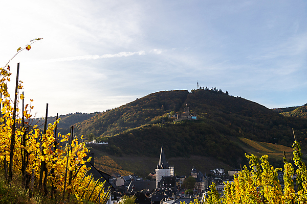 포토 JPG 해외이미지 잎 자국 자연 휴가 산 독일 풍경 사람없음 초록색 물 관광지 강 태양 노란색 걷기 와인 계곡 맑음 자전거 하이킹 가을 도시 11월 만족 포도밭 지역 바이킹 해외포토 자연요소 식물 계절 감정 유럽 컬러 여행 밭 모션 레저 날씨 주류 바이크 날짜 생태계 파일형식 이미지허브