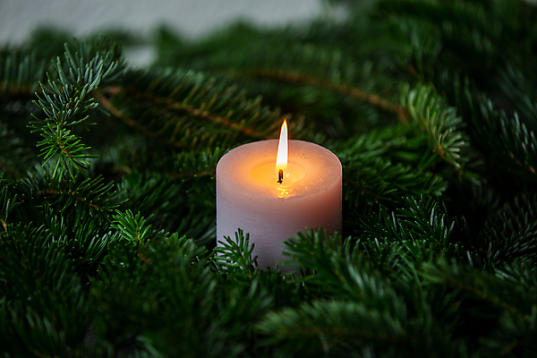 포토 JPG 해외이미지 나무 식물 백그라운드 크리스마스 겨울 자연 벽지 불 추상 사람없음 초록색 크리스마스트리 회색 흰색 나뭇가지 만족 질감 대리석 전나무 연소 해외포토 자연요소 계절 기념일 감정 컬러 무늬 재료 생태계 파일형식 이미지허브