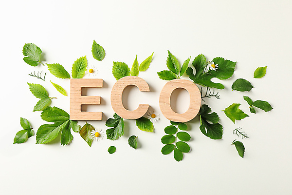 포토 JPG 해외이미지 백그라운드 잎 텍스트 자연 목재 신체부위 단어 새싹 플랫 에코 생태계 해외포토 나무 식물 문자 재료 사람 환경 파일형식 이미지허브