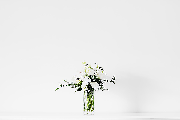 포토 JPG 해외이미지 꽃 실내 사람없음 꽃병 흰색 미니멀 해외포토 식물 컬러 내부 파일형식 이미지허브