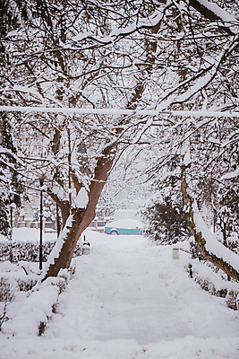포토 JPG 해외이미지 나무 식물 길 겨울 자국 자동차 자연 날씨 스키 풍경 사람없음 야외 목재 물 걷기 얼음 추위 나뭇가지 승차 숲 언덕 서리 폭풍 눈보라 삼림지대 해외포토 자연요소 계절 육상교통 재료 모션 겨울스포츠 눈_날씨 생태계 파일형식 이미지허브