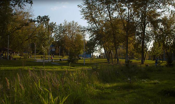포토 JPG 해외이미지 나무 식물 꽃 백그라운드 자연 아침 잔디 사람없음 초록색 여름 빛 햇빛 태양 뷰티 환경 정원 맑음 일몰 성장 광선 신선 저녁 허브 해외포토 주간 자연요소 계절 컬러 날씨 노을 야간 생태계 파일형식 이미지허브