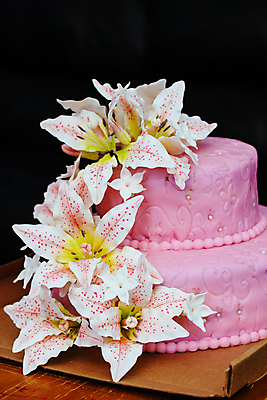 포토 JPG 해외이미지 꽃 분홍색 결혼 사람없음 장식 케이크 웨딩케이크 해외포토 식물 컬러 디저트 이벤트 파일형식 이미지허브