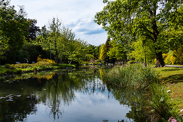포토 JPG 해외이미지 나무 식물 계절 공원 유럽 호수 여행 잎 자연 하늘 풍경 사람없음 야외 목재 초록색 물 빛 뷰티 반사 환경 봄 연못 숲 작음 폴란드 내추럴 브로츠와프 옛날 해외포토 자연요소 공공시설 나라 컬러 재료 크기 생태계 파일형식 이미지허브