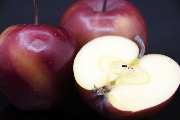 포토 JPG 해외이미지 음식 조각 백그라운드 다이어트 과일 자연 아침 디저트 건강 씨앗 사람없음 빨간색 검은색 신선 달콤 사과 자르기 슬라이스 건강식 내추럴 숙성 채식주의자 비건 해외포토 주간 식물 컬러 모션 맛 생태계 채식 파일형식 이미지허브