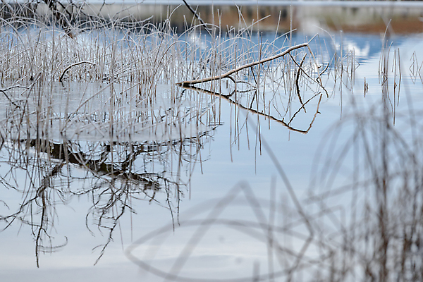 포토 JPG 해외이미지 나무 호수 여행 백그라운드 자연 지팡이 하늘 표면 산 건조 사람없음 야외 목재 물 파란색 반사 평화 얼음 거울 흰색 연못 숲 그림 캔버스 암초 내추럴 산악지대 사생활 잔물결 절정 해외포토 자연요소 식물 물결 컬러 컨셉 재료 생태계 파일형식 이미지허브