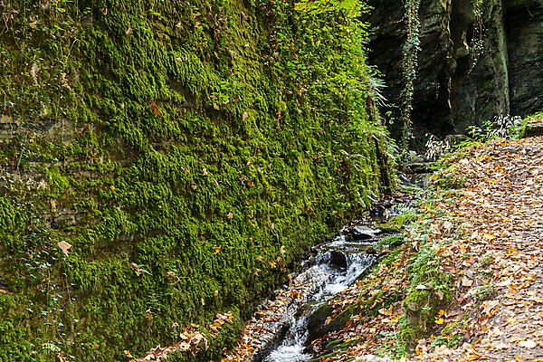 포토 JPG 해외이미지 잎 자연 휴가 독일 풍경 사람없음 초록색 물 관광지 강 태양 노란색 와인 계곡 맑음 폭포 가을 도시 개울 11월 만족 포도밭 지역 해외포토 자연요소 식물 계절 감정 유럽 컬러 여행 밭 날씨 주류 날짜 생태계 파일형식 이미지허브