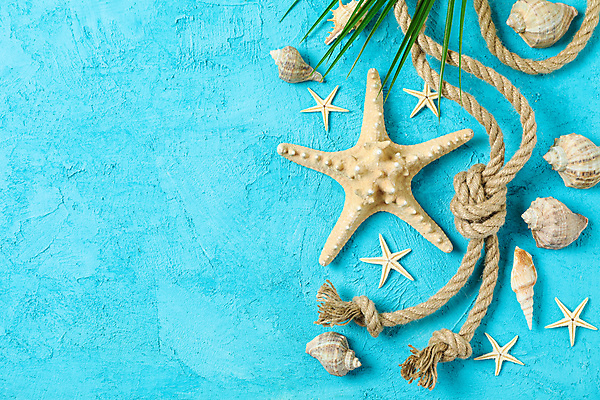 포토 JPG 해외이미지 스튜디오촬영 밧줄 불가사리 사람없음 소라 오브젝트 야자수잎 카피스페이스 해외포토 줄 잎 어패류 극피동물 실내 공백 파일형식 이미지허브 이미지허브