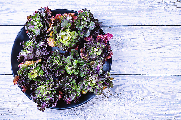 포토 JPG 해외이미지 계절 꽃 음식 잎 다이어트 채소 건강 종류 사람없음 빨간색 초록색 약 장미 새싹 주방 봄 샐러드 수확 신선 농부 다발 허브 제비꽃 속도 유기농 양배추 날것 내추럴 식품점 채식주의자 케일 개조 해외포토 식물 직업 웰빙 컬러 농업 의학 상점 채식 파일형식 이미지허브