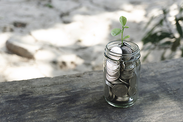 포토 JPG 해외이미지 나무 식물 손 백그라운드 컨셉 잎 돈 비즈니스 자연 유리 탁자 성공 사람없음 목재 초록색 금융 경제 쌓기 동전 저축 성장 항아리 재산 정상 투자 이익 월급 대출 빚 계좌 넣기 돌봄 수입 자금 카운트 헬프 해외포토 컬러 가구 재료 모션 재질 신체부위 도움 도자기 생태계 파일형식 이미지허브