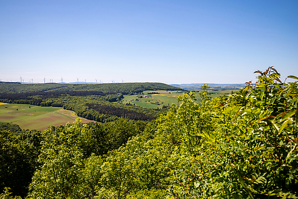 포토 JPG 해외이미지 나무 유럽 여행 백그라운드 농업 자연 바람 독일 파노라마 사람없음 야외 초록색 강 맑음 봄 발전기 바퀴 숲 언덕 산맥 해외포토 자연요소 식물 계절 나라 산업 컬러 날씨 산 촬영기법 발전소 생태계 파일형식 이미지허브
