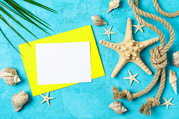 포토 JPG 해외이미지 스튜디오촬영 밧줄 불가사리 프레임 사람없음 사각형 소라 오브젝트 야자수잎 해외포토 도형 줄 잎 어패류 극피동물 실내 파일형식 이미지허브 이미지허브