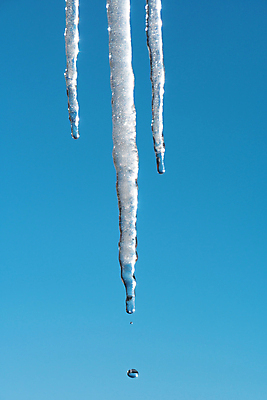 포토 JPG 해외이미지 계절 겨울 하늘 날씨 사람없음 물 빛 햇빛 얼음 봄 젖음 흐름 추위 가을 물방울 붓기 떨어짐 시원함 빗방울 북극 드리블 온도 고드름 지구온난화 천국 기후변화 반투명 섭씨 스플래쉬 해외포토 자연요소 컨셉 모션 태양 비_날씨 변화 극지방 파일형식 이미지허브