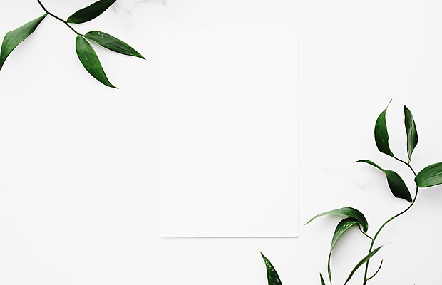 포토 JPG 해외이미지 종이 잎 프레임 사람없음 흰배경 대리석 카피스페이스 보테니컬아트 해외포토 식물 백그라운드 재료 공백 흰색 파일형식 이미지허브