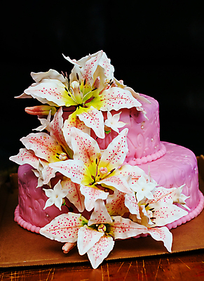 포토 JPG 해외이미지 꽃 분홍색 결혼 사람없음 장식 케이크 웨딩케이크 해외포토 식물 컬러 디저트 이벤트 파일형식 이미지허브