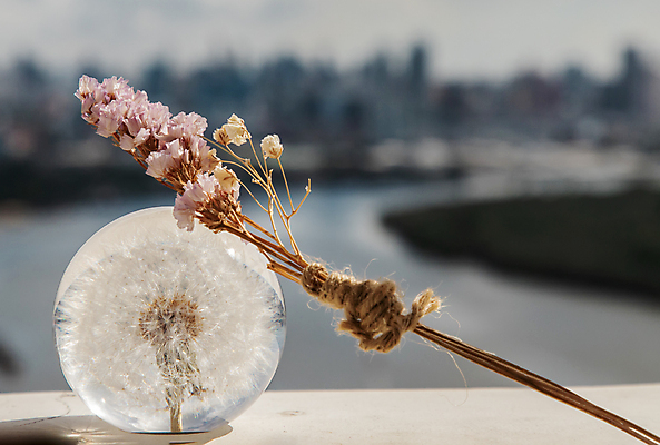 포토 JPG 해외이미지 디자인 유리 사람없음 아웃포커스 장식 크리스탈 민들레홀씨 드라이플라워 해외포토 꽃 재질 촬영기법 민들레 광석 파일형식 이미지허브