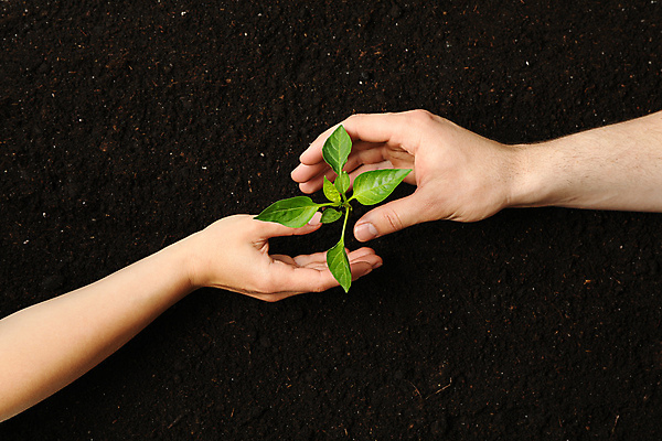 포토 JPG 해외이미지 손 백그라운드 자연 신체부위 농장 새싹 흙 잡기 에코 묘목 해외포토 나무 식물 농업 모션 사람 환경 생태계 파일형식 이미지허브