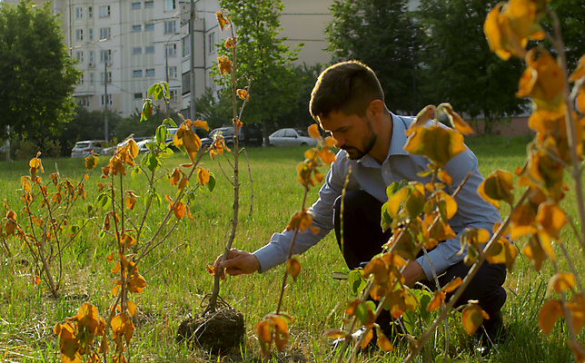 포토 JPG 해외이미지 백인 공원 자연 아침 노동자 한명 정장 성인 야외 기록 비즈니스맨 통제 관목 확인 에코 조경 감독관 시들음 일반 생태학 심기 업그레이드 해외포토 주간 서양인 나무 직업 1 옷 공공시설 교육 남자 비즈니스 모션 사람 환경 직장인 생태계 파일형식 이미지허브