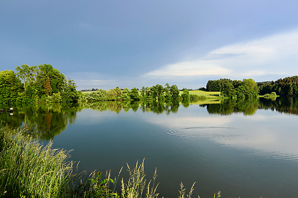 포토 JPG 해외이미지 나무 자연 사람없음 야외 물 평화 침묵 시골 연못 장면 체코 해외포토 자연요소 식물 유럽 컨셉 소리 생태계 파일형식 이미지허브