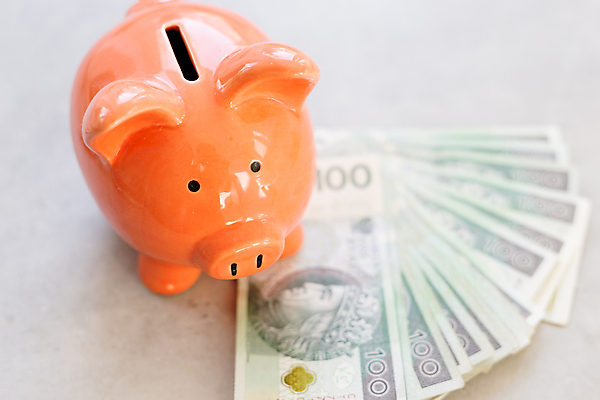 포토 JPG 해외이미지 유럽 종이 분홍색 백그라운드 컨셉 지폐 돈 비즈니스 탁자 성공 사람없음 가로 금융 경제 장난감 동전 저축 돼지저금통 성장 흰색 잡기 돼지 시장 재산 구매 보안 투자 상업 결제 이익 흙더미 폴란드 계산서 대출 빚 계좌 수입 콘크리트 해외포토 나라 컬러 가구 포유류 모션 안전 쇼핑 흙 저금통 파일형식 더미 이미지허브