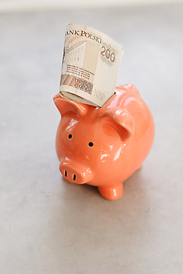 포토 JPG 해외이미지 유럽 종이 백그라운드 컨셉 지폐 돈 비즈니스 탁자 성공 사람없음 세로 금융 경제 장난감 저축 돼지저금통 흰색 잡기 돼지 시장 재산 구매 컨테이너 보안 투자 상업 광택 폴란드 대출 빚 계좌 수입 콘크리트 투자자 해외포토 나라 산업 컬러 가구 포유류 모션 안전 쇼핑 저금통 파일형식 이미지허브