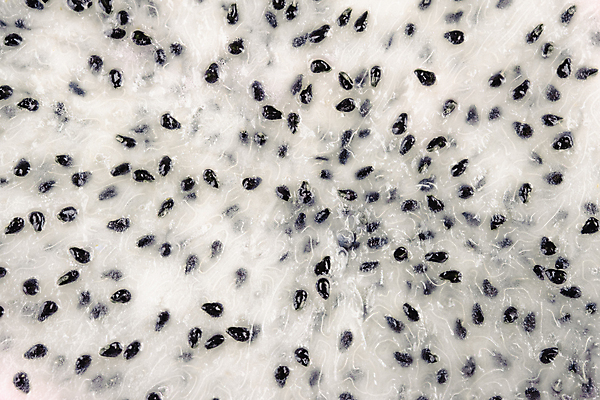 포토 JPG 해외이미지 음식 분홍색 다이어트 과일 태국 자연 선인장 건강 씨앗 사람없음 빨간색 활발 흰색 용 신선 달콤 맛 날것 숙성 영양분 이국적 채식주의자 해외포토 식물 아시아 컬러 컨셉 생태계 채식 파일형식 이미지허브