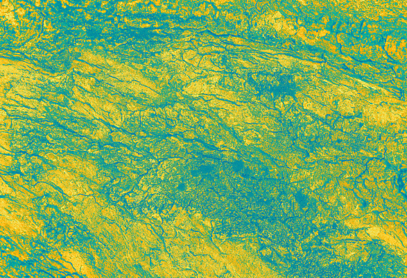 포토 JPG 해외이미지 나무 식물 선 백그라운드 패턴 자연 표면 추상 사람없음 목재 파란색 유행 환경 거친 묘사 질감 날것 네온 나무껍질 내추럴 수목 옛날 울퉁불퉁 해외포토 컬러 무늬 재료 껍질 생태계 파일형식 이미지허브