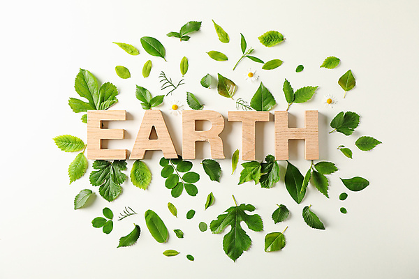 포토 JPG 해외이미지 지구 백그라운드 잎 텍스트 자연 목재 단어 새싹 해외포토 나무 식물 문자 재료 생태계 파일형식 이미지허브