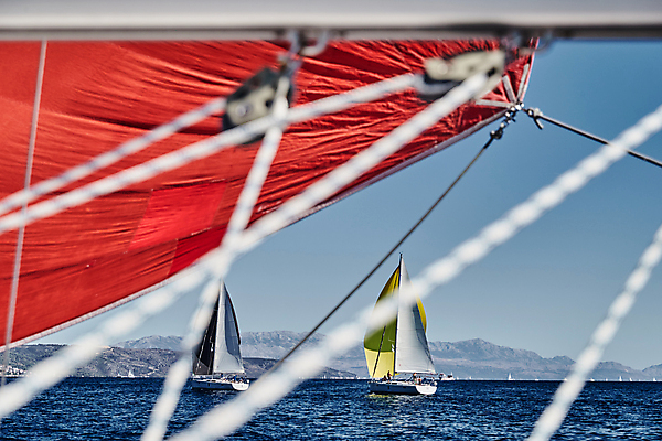 포토 JPG 해외이미지 라이프스타일 스포츠 파도 바다 여행 요트 자연 벽지 하늘 바람 휴가 항해 풍경 경기 사람없음 야외 컵 컬러풀 일몰 경쟁 자유 보트 그룹 승무원 지중해 함선 추적 레가타 뱃놀이 수평선 해외포토 자연요소 직업 식기 컬러 컨셉 배_교통 모션 날씨 생활 노을 전통놀이 생태계 파일형식 이미지허브