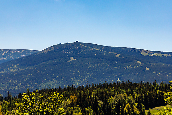 포토 JPG 해외이미지 나무 공원 유럽 여행 자국 자연 하늘 휴가 산 파노라마 국립공원 풍경 사람없음 초록색 여름 파란색 여행객 트래킹 하이킹 숲 거인 폴란드 내추럴 절정 해외포토 식물 계절 공공시설 나라 컬러 레저 촬영기법 사람 생태계 파일형식 이미지허브