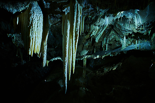 포토 JPG 해외이미지 여행 자연 휴가 국립공원 미술 사람없음 야외 강 뷰티 하이킹 탐험 보트 행운 동굴 발굴 지역 체코 방문 지하 깊이 석회암 종유석 칼슘 모라비아 해외포토 공원 유럽 컨셉 배_교통 레저 문화예술 암석 생태계 파일형식 이미지허브