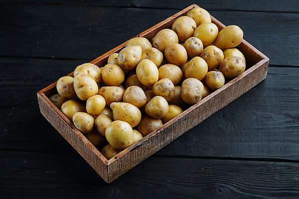 포토 JPG 해외이미지 검은배경 감자 실내 사람없음 나무상자 가득함 담기 해외포토 백그라운드 채소 모션 내부 상자 검은색 파일형식 이미지허브