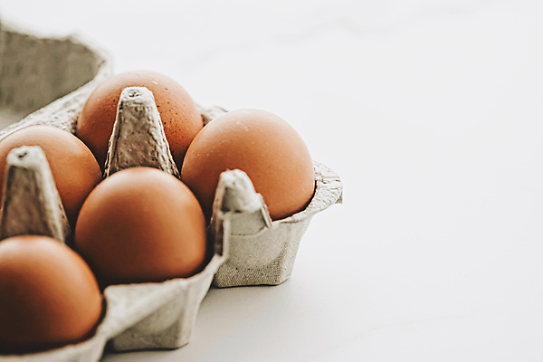 포토 JPG 해외이미지 백그라운드 사람없음 갈색 계란 신선 계란판 카피스페이스 해외포토 컬러 알 공백 파일형식 이미지허브