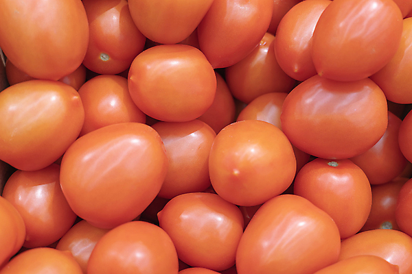 포토 JPG 해외이미지 잡화 행복 음식 백그라운드 패턴 농업 토마토 채소 과일 재료 자연 선반 건강 요리 사람없음 빨간색 농장 세일 바구니 상점 정원 샐러드 신선 체리 그룹 시장 소프트포커스 먹기 계산대 유기농 질감 날것 소매 슈퍼마켓 내추럴 숙성 채식주의자 해외포토 웰빙 감정 산업 컬러 가구 무늬 모션 촬영기법 생태계 채식 파일형식 이미지허브