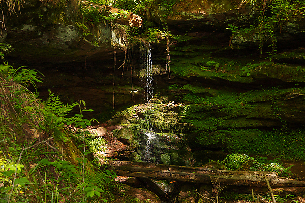 포토 JPG 해외이미지 나무 식물 백그라운드 자국 자연 추상 이끼 풍경 사람없음 야외 초록색 물 여름 골짜기 봄 하이킹 흐름 암석 바위 개울 숲 오솔길 땅 질감 땅바닥 해외포토 자연요소 계절 길 컬러 컨셉 무늬 레저 바닥 강 돌_바위 생태계 파일형식 이미지허브
