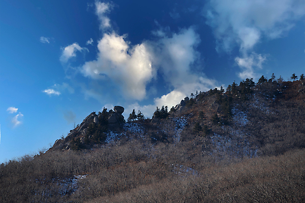 포토 JPG 해외이미지 나무 계절 여행 백그라운드 겨울 벽지 하늘 산 사람없음 일몰 저녁 숲 암초 해외포토 식물 노을 야간 파일형식 이미지허브