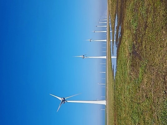 포토 JPG 해외이미지 산업 바다 밭 하늘 바람 풍경 해변 사람없음 초록색 파란색 농장 환경 힘 재활용 풍차 발전기 에너지 흰색 풍력에너지 네덜란드 생태계 지구온난화 세대 유지 방앗간 개발 생태학 해외포토 자연요소 교육 유럽 컬러 농업 날씨 발전소 그린에너지 친환경 기후변화 파일형식 이미지허브