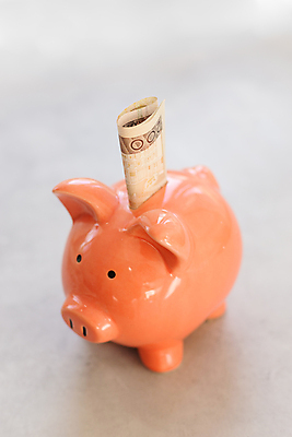 포토 JPG 해외이미지 유럽 종이 백그라운드 컨셉 지폐 돈 비즈니스 탁자 성공 사람없음 세로 금융 경제 장난감 저축 돼지저금통 성장 흰색 잡기 돼지 시장 재산 구매 컨테이너 은퇴 보안 투자 상업 광택 폴란드 대출 빚 계좌 수입 콘크리트 투자자 해외포토 나라 산업 컬러 가구 포유류 모션 안전 쇼핑 저금통 파일형식 이미지허브